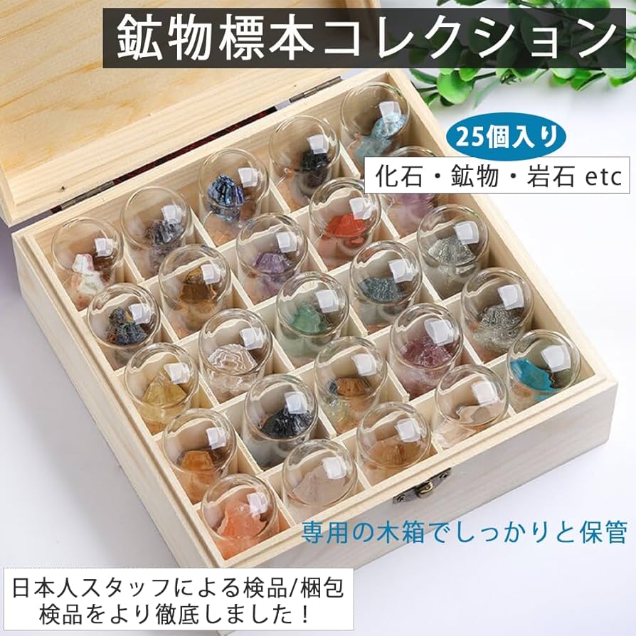 Amazon | AZNABLE 鉱物標本 セット 箱 鉱物 コレクション 岩石 化石