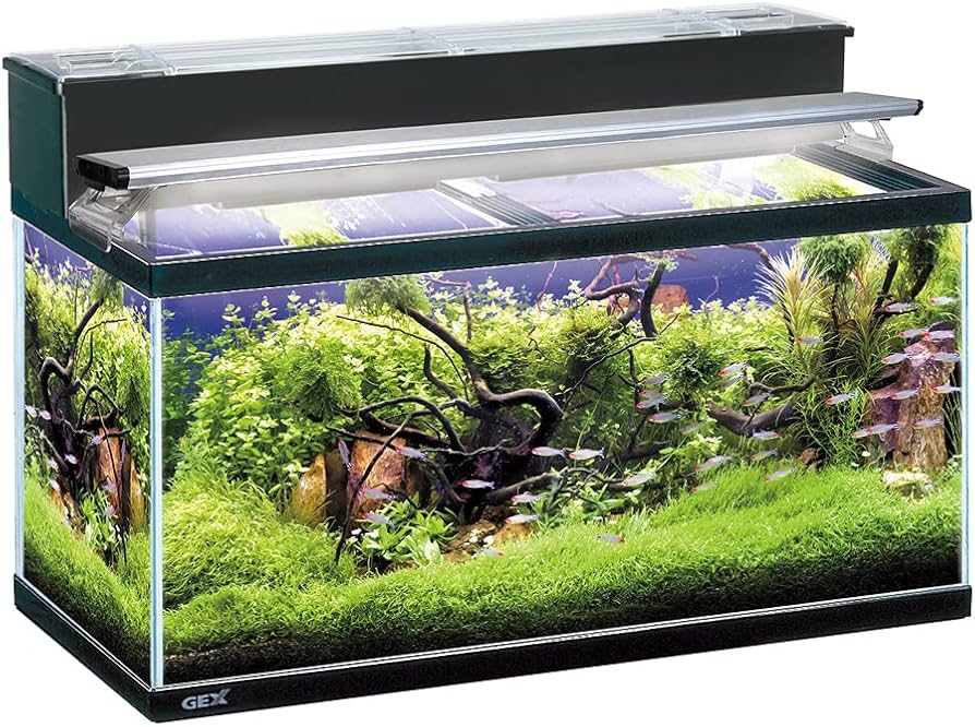 Amazon | ジェックス GEX AQUARIUM マリーナ900LEDセット 黒枠ガラス