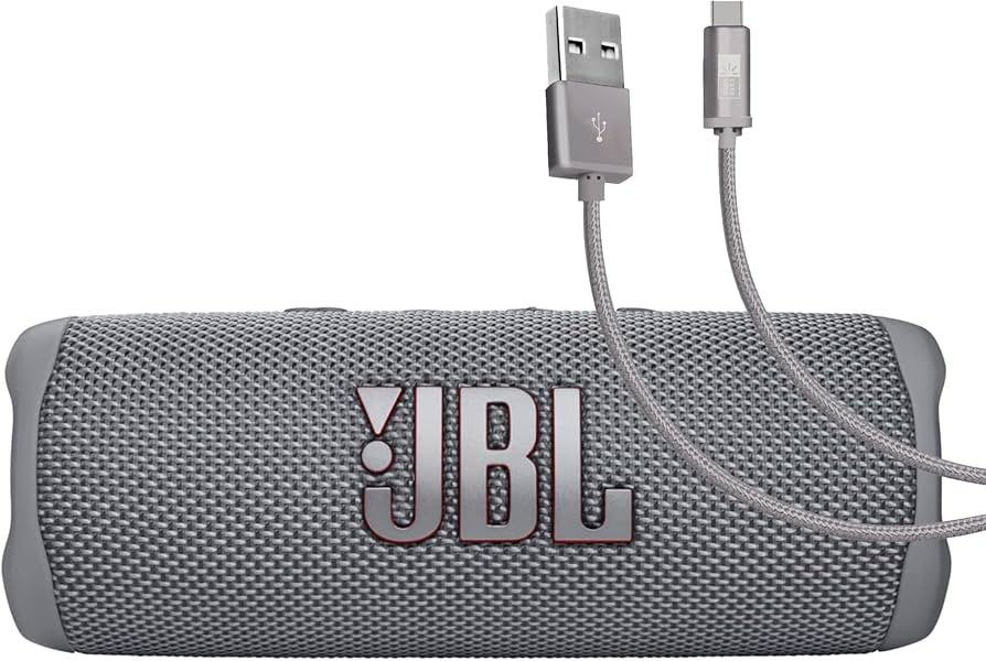 Amazon.com: JBL Flip 6 (Gray) + Bundle with Case Logic Braided USB