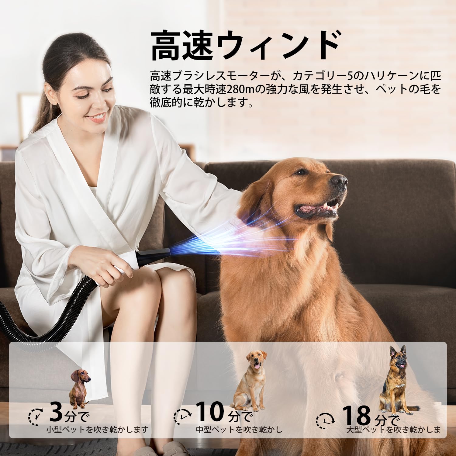 Amazon | 犬用ドライヤー petaboo ペットドライヤー 【ハイパワー風力