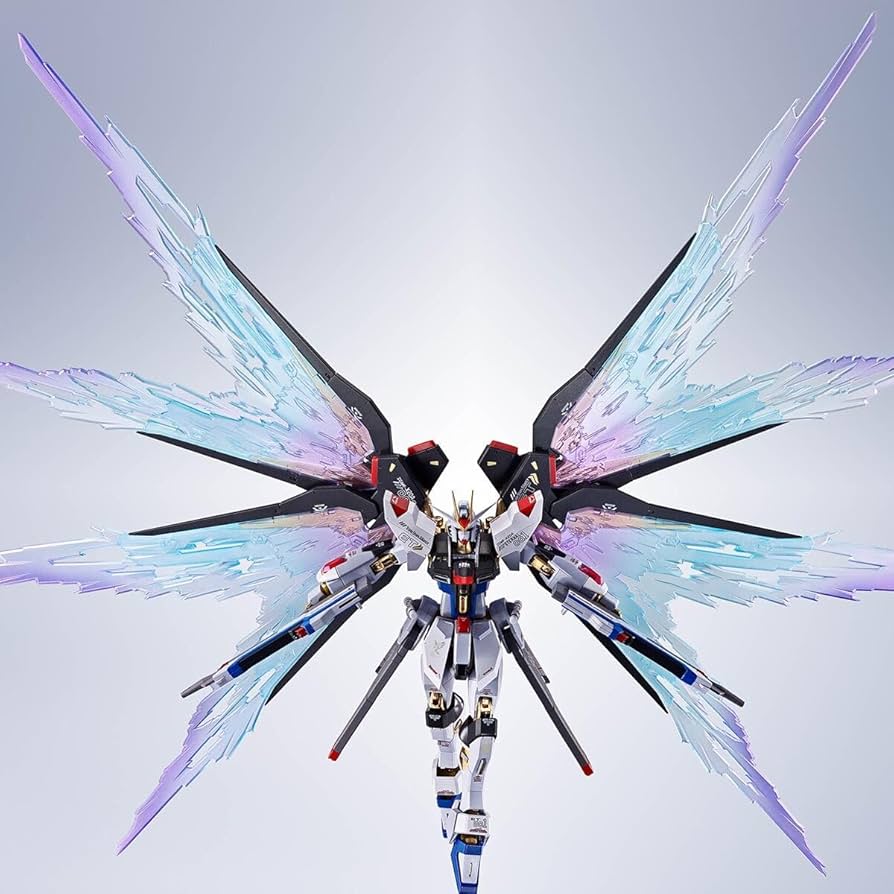 Amazon | METAL ROBOT魂 ＜SIDE MS＞ ストライクフリーダム ガ ン ダ