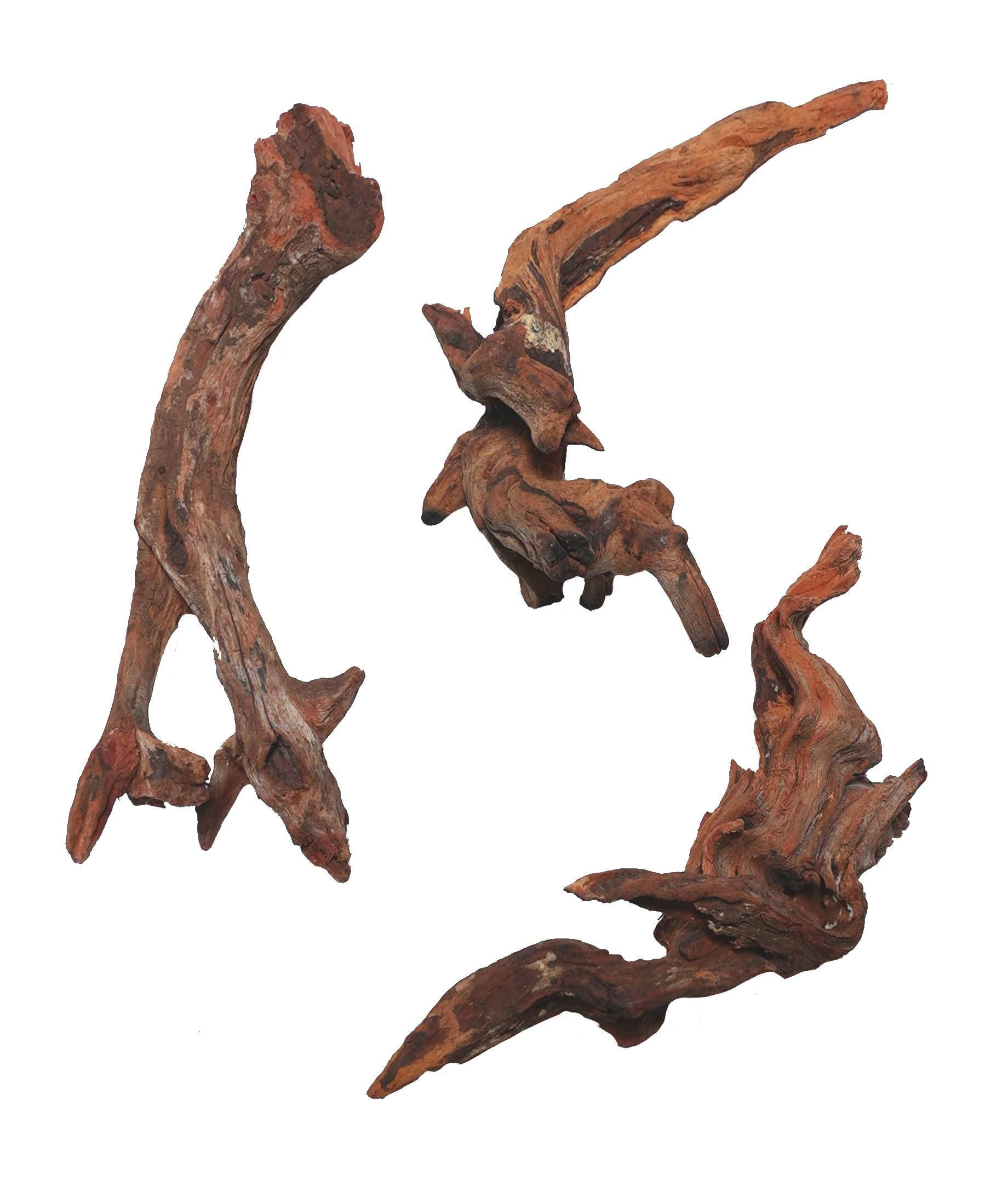 Amazon | アクアリウム・コケリウム用 ミニ流木3本セット【AQUASHOP