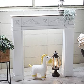 71-9JoR2OSL._AC_UF350,