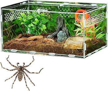 Amazon.co.jp: アクリル爬虫類ケージ | 飼育ボックス タンク 明確な