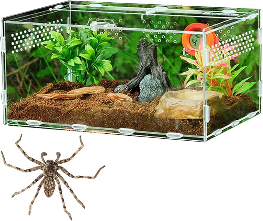 Amazon.co.jp: アクリル爬虫類ケージ | 飼育ボックス タンク 明確な