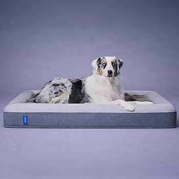 Amazon | グーグースリープ 犬 ペット ベッド ラージ グレー gugu