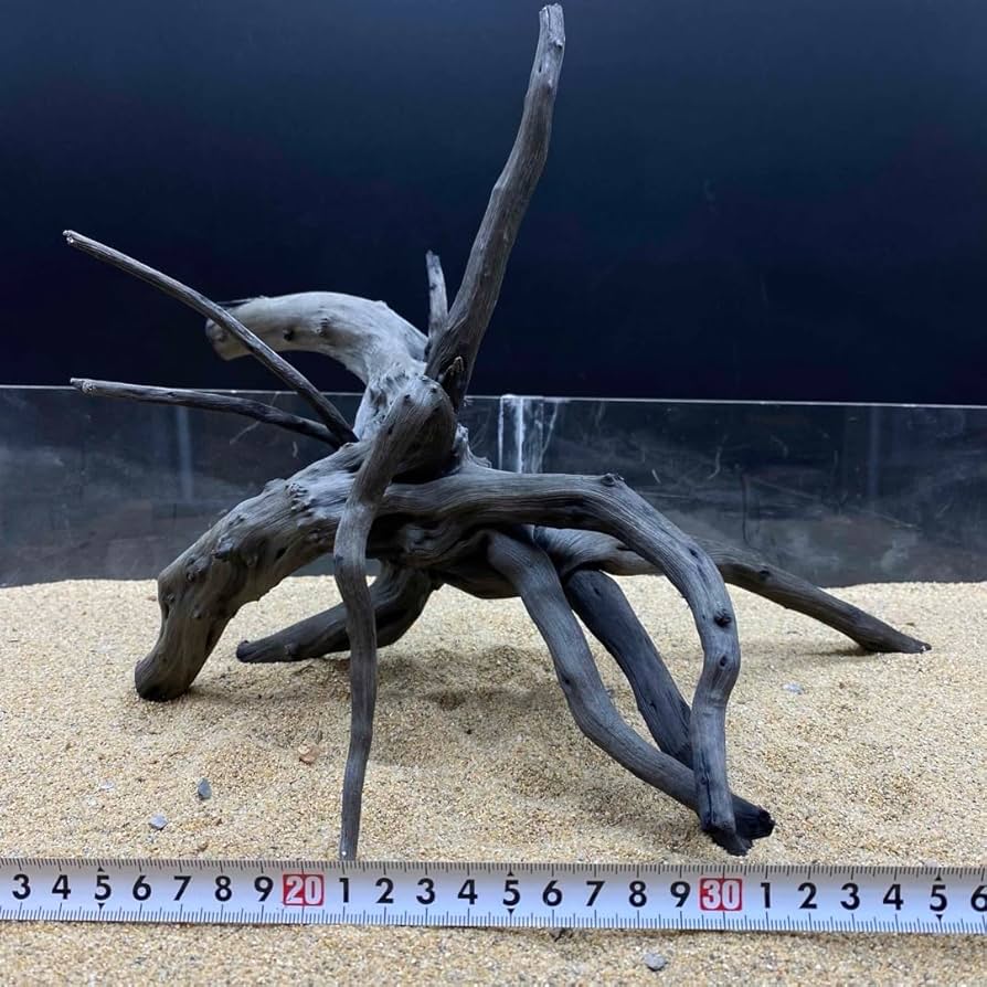 MDW-5605 特大ブランチウッド90cm水槽用流木枝流木アクアリウム