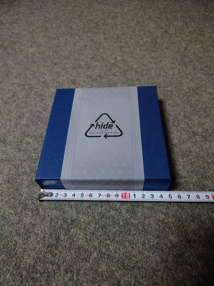 hideって誰？特別企画展『PSYCHOVISION hide MUSEUM Since 2000