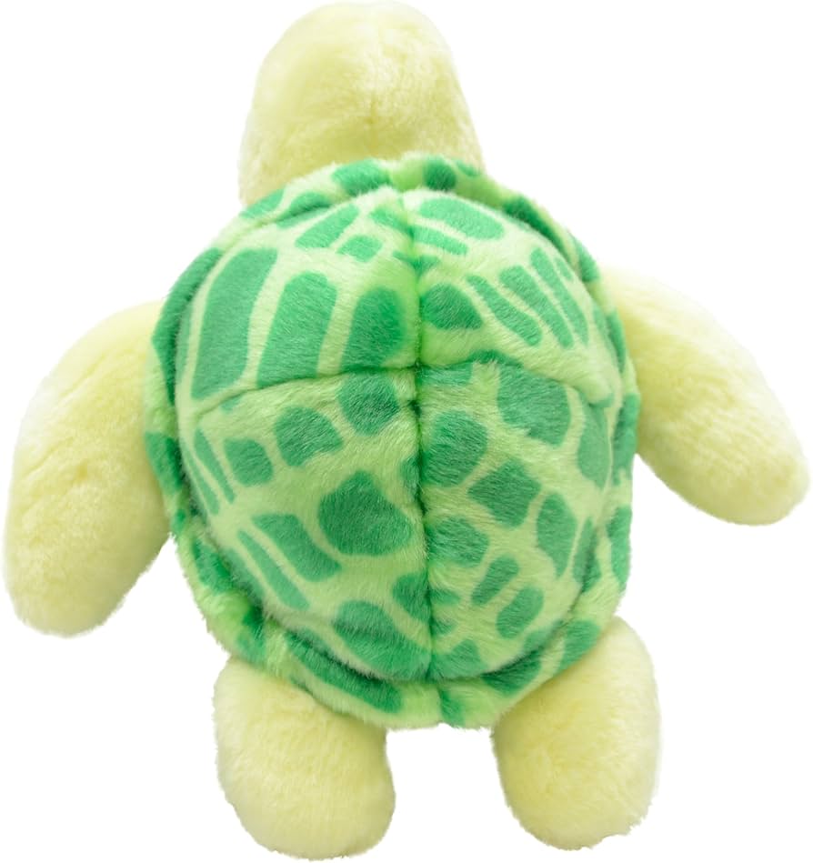 Amazon.co.jp: AQUA ぬいぐるみ マリン カメのノブユキくん グリーン