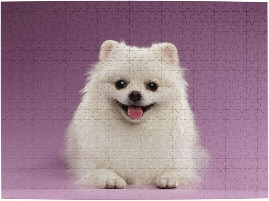 ᵔᴥᵔ犬と猫写真ジグソーパズル500ピース50×75㎝ホワイト額入り完成品