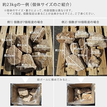 710HWupl0ML._AC_UF350,