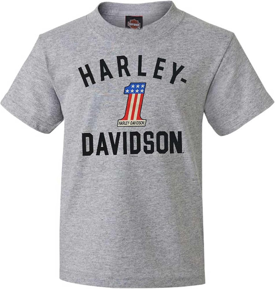 Amazon.com: Harley-Davidson Big Boys' #1 Logo Short Sleeve Crew