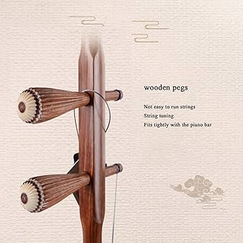 Amazon | 中国二胡 弦楽器 民族楽器 六角構造、音はリアルで自然です