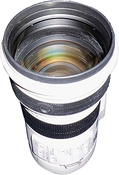Amazon.com : Canon EF 300mm f/2.8L IS USM Telephoto Lens for Canon