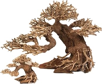 Amazon | ミニ盆栽流木 サイズ(幅20cm 奥12cm 高15cm) 小型の卓上水槽