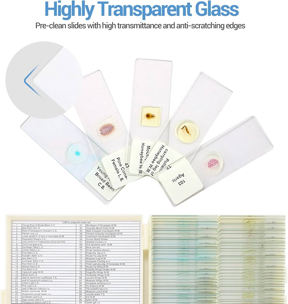 顕微鏡プレパラート生理30種昭和物