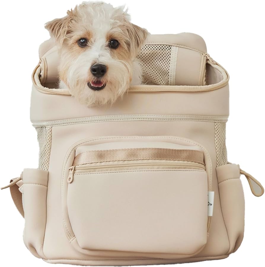 Amazon.co.jp: [citydog] ネオプレーンバックパックキャリー 【軽量