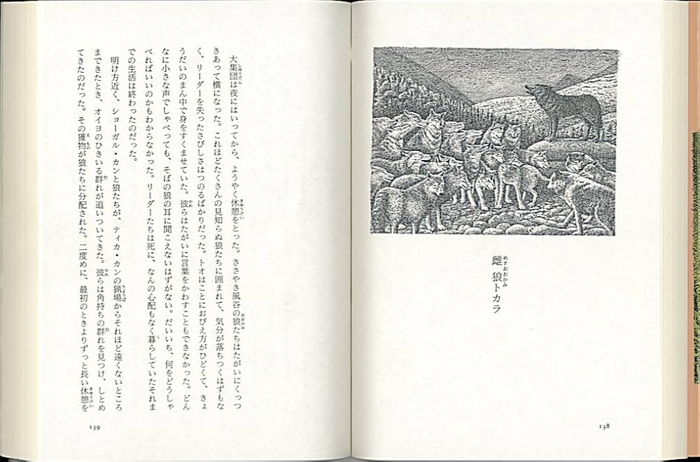 ウルフ・サーガ〈上〉 (福音館文庫 物語) | ケーテ レヒアイス, カレン