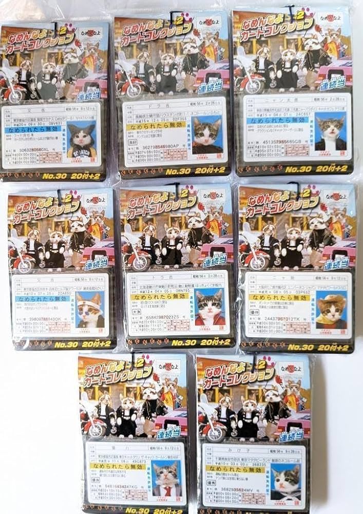 なめんなよ カードコレクション2 なめ猫 カード 22枚付き×10セット