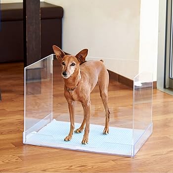 Amazon | 【OFT】 クリアレット2 Mサイズ 飛散ガード ハイタイプ ※本体