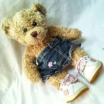 712B41F3t2L._AC_UF350,