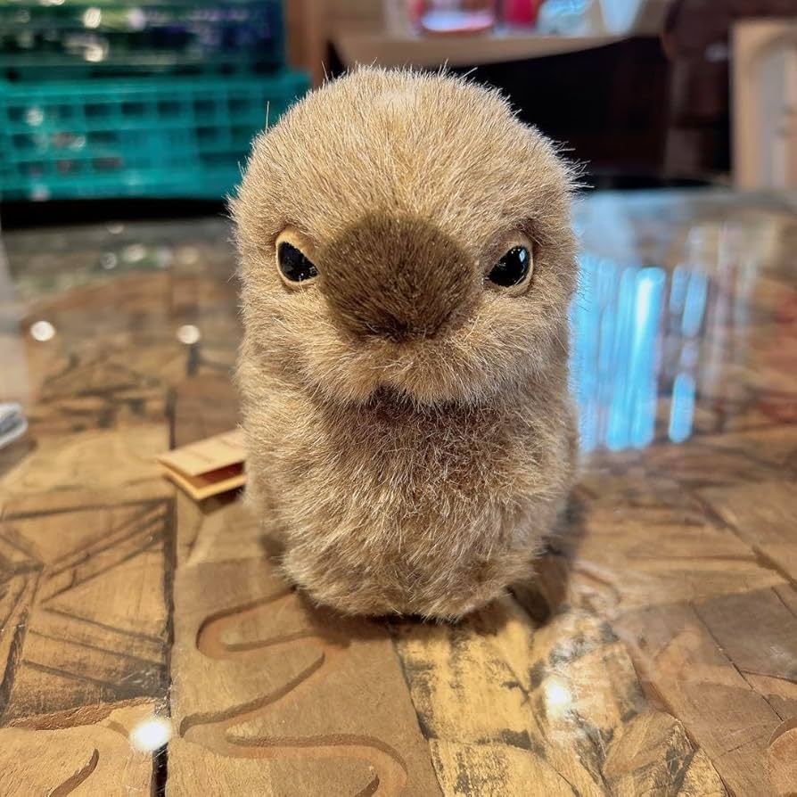 大人気のお土産「やまねのぬいぐるみ」と「やまねの巣のぬいぐるみ