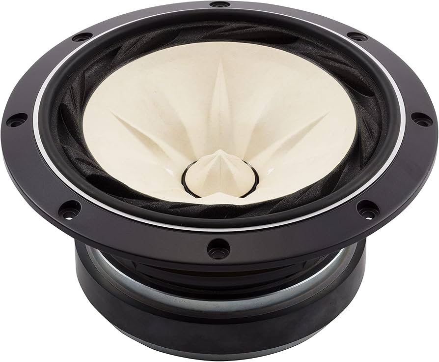 Amazon | FOSTEX 20cmコーン型・フルレンジ（1本） FE208Eシグマ