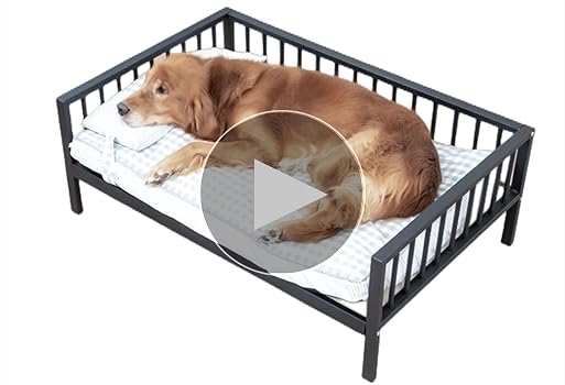 Amazon | Jiza 高架式ペットベッド 柵付き猫 犬用ベッド スチール