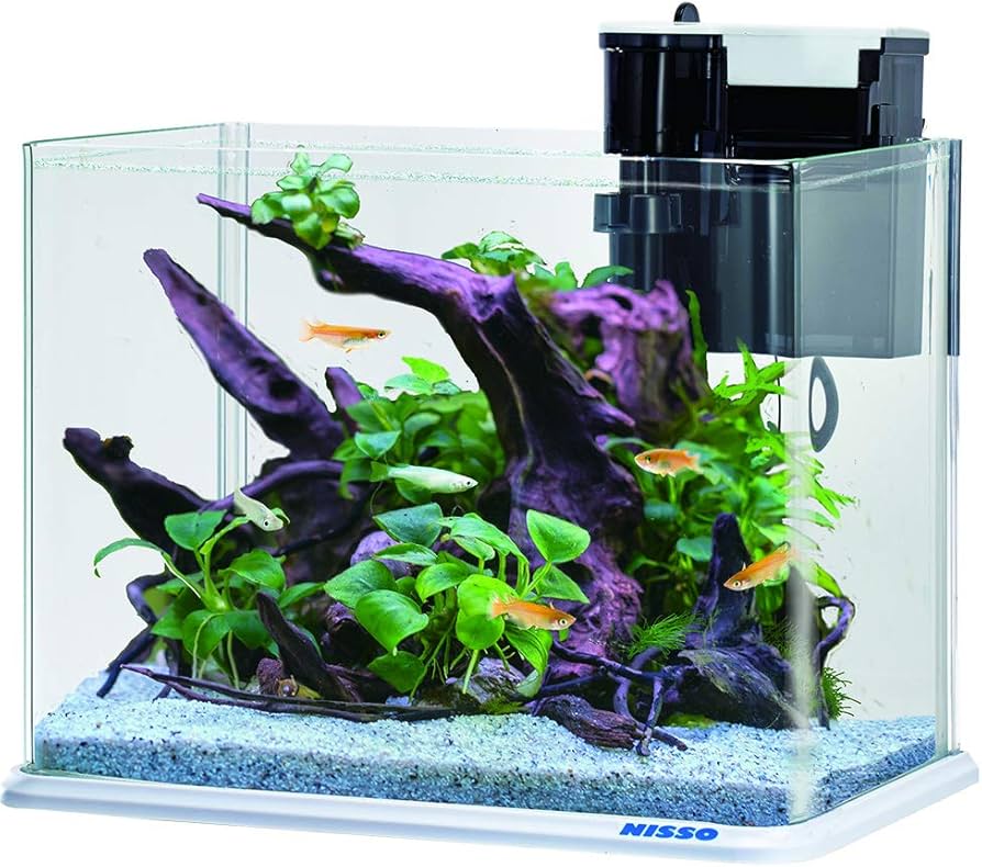 Amazon | ニッソー 水槽 クリアスティングレー4点セット S サイズ