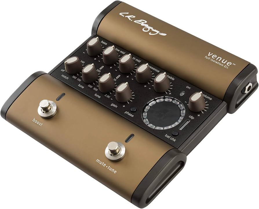 Amazon.com: L.R. Baggs Venue DI Acoustic Guitar Preamp and DI