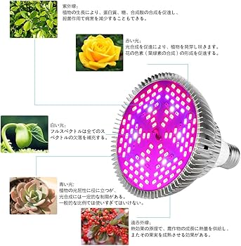 Amazon.co.jp: MORSEN LED植物育成ライト 80W相当 赤色 E26口金 フル