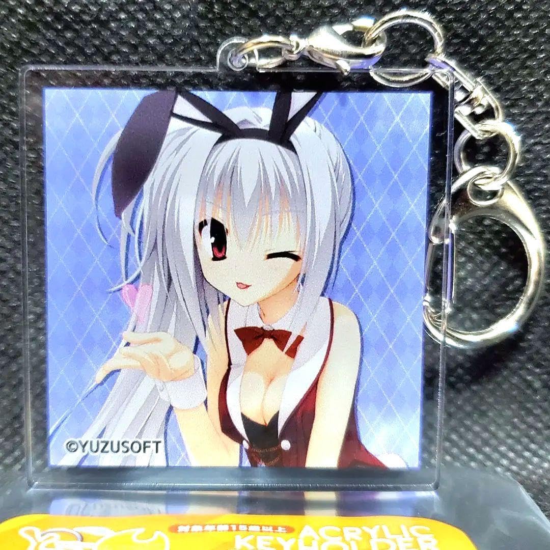 ゆずソフト ドラクリオット DRACU-RIOT! 缶バッジ エレナ 1BOX ゆず