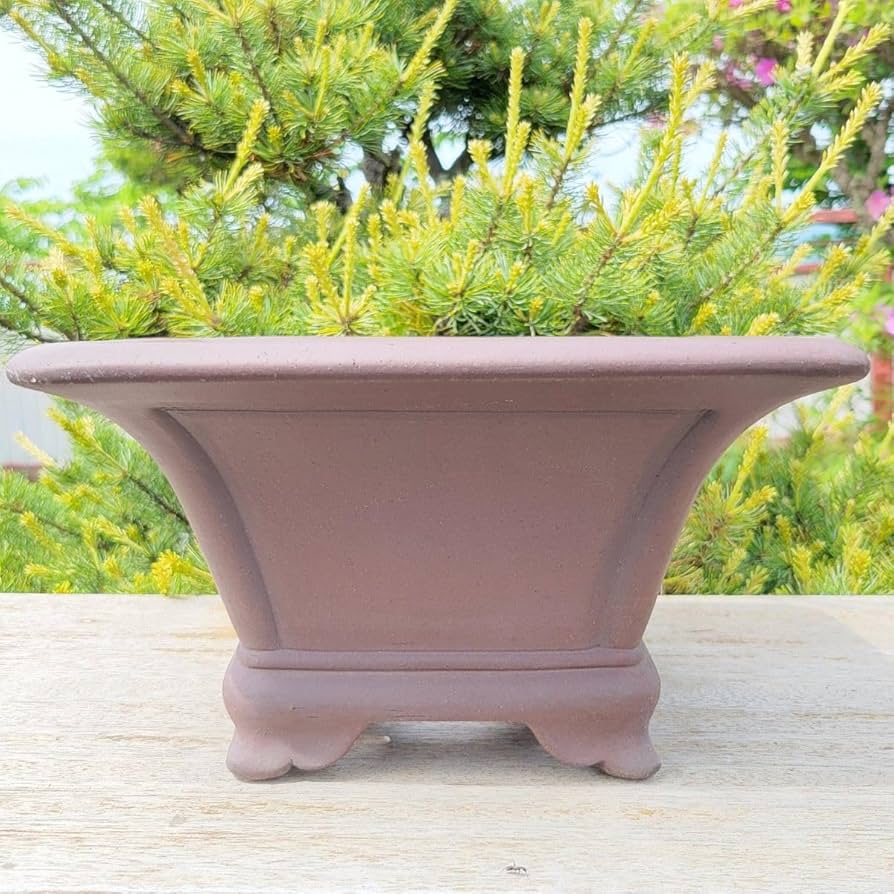 2000お値下げ☆ 盆栽鉢 山秋 常滑焼 2000お値下げ☆ 盆栽鉢 山秋 常滑焼