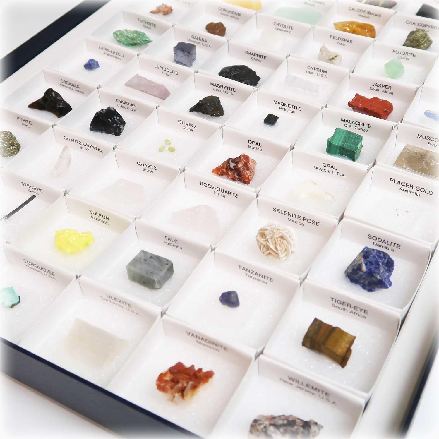 240g アンモナイト 化石 アンモライト オパール化 本物 原石 鉱物標本