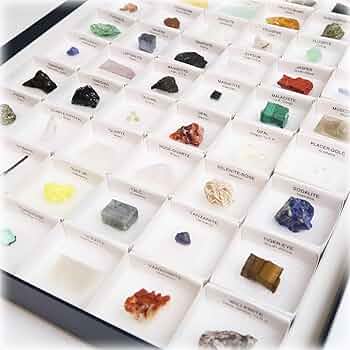 71tpDunkohL._AC_UF350,