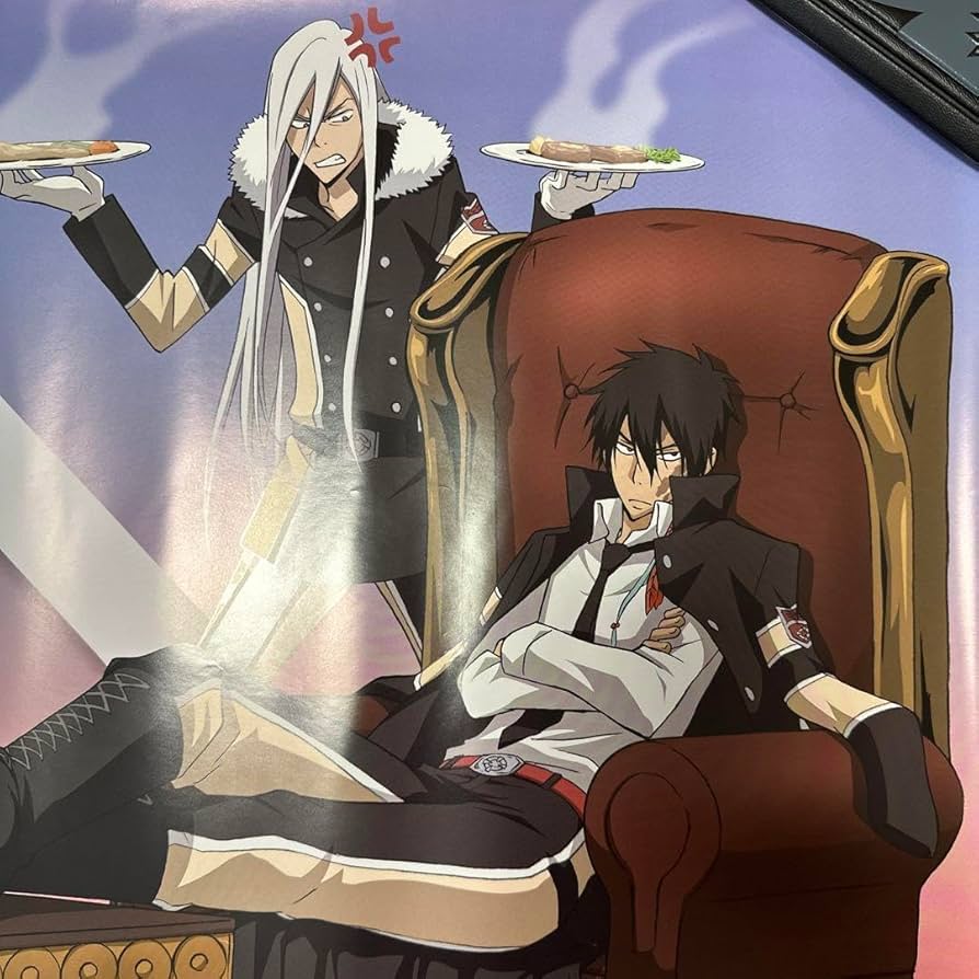 リボーン 名場面ポスター 綱吉 ザンザス 家庭教師ヒットマンREBORN