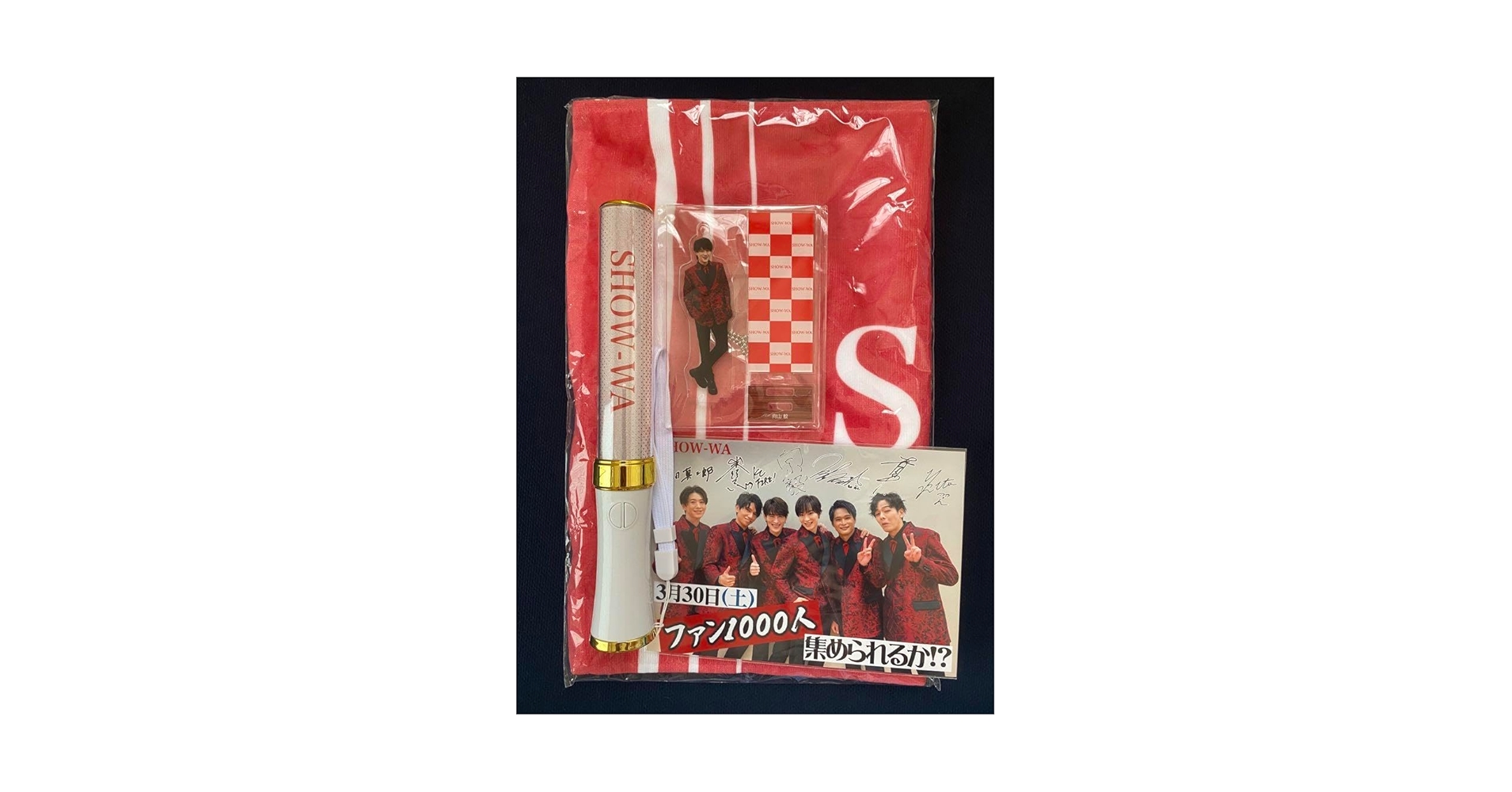 未使用品】SOLIDEMO 向山毅 アクスタ シークレットver 2025年最新