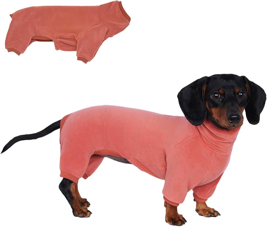 Amazon | ダックスフンド 犬服 タートルネック セーター 冬用 あったか