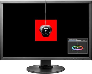 Amazon.com: EIZO CS2420-BK ColorEdge Professional Color Graphics