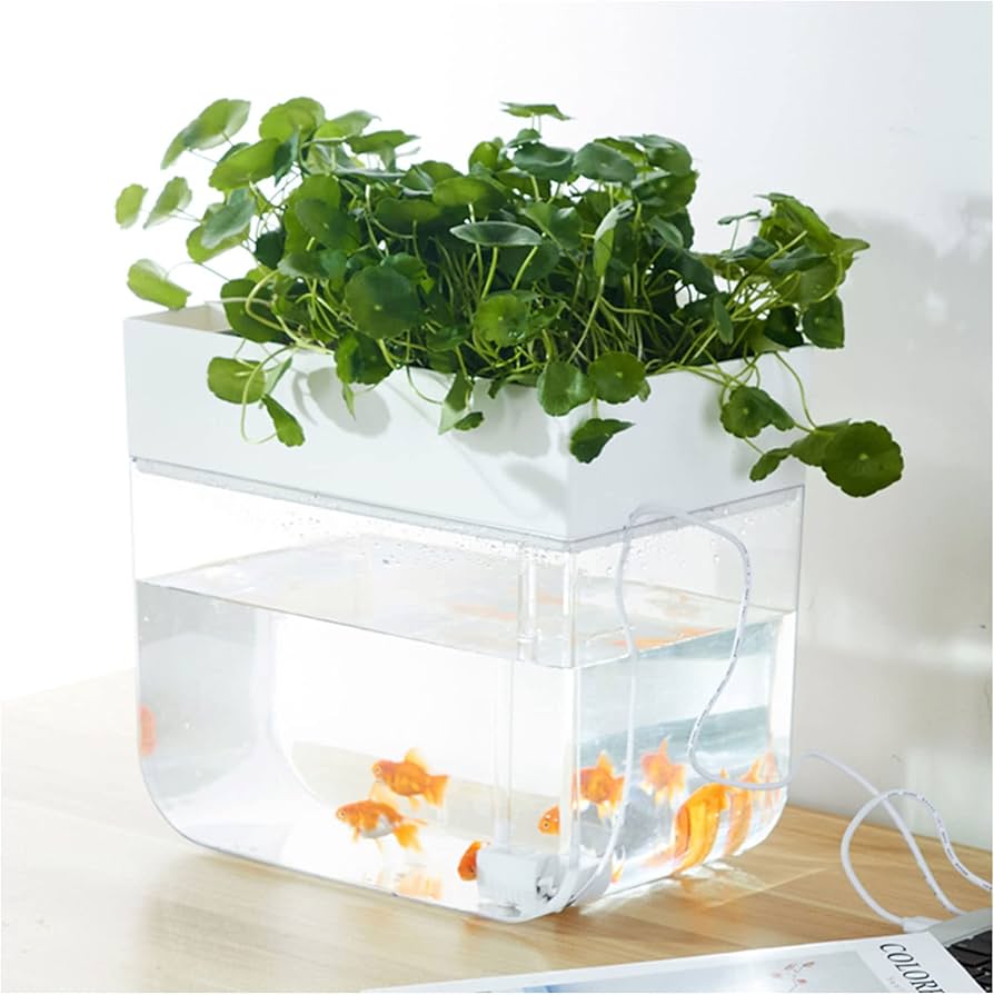 Amazon | アクアリウム アクアポニック アクアポニックス小型水槽