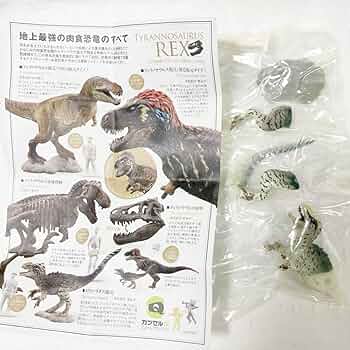 木彫 恐竜 ユウティラヌス 頭骨模型 11cm 木彫 恐竜 ユウティラヌス