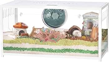 71wgYAN2OSL._AC_UF350,