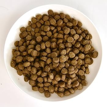 Amazon.co.jp: POCHI ザ・ドッグフード ベーシック ワイルドサーモン