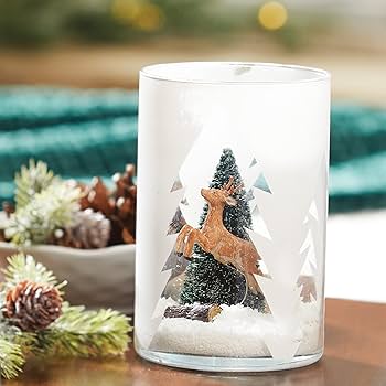 71x+YWSLNtL._AC_UF350,