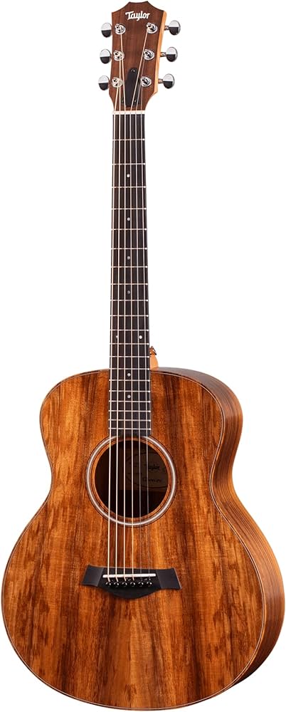 Amazon | Taylor GS Mini Koa エレアコ Natural アコースティック