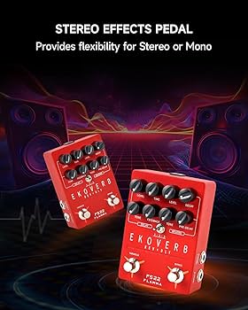 Amazon.com: FLAMMA FS22 Stereo Delay & Reverb Combo Effects Pedal