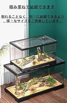 Amazon | 大型60cmレオパ ケージ 爬虫類 ケース ヒョウモン