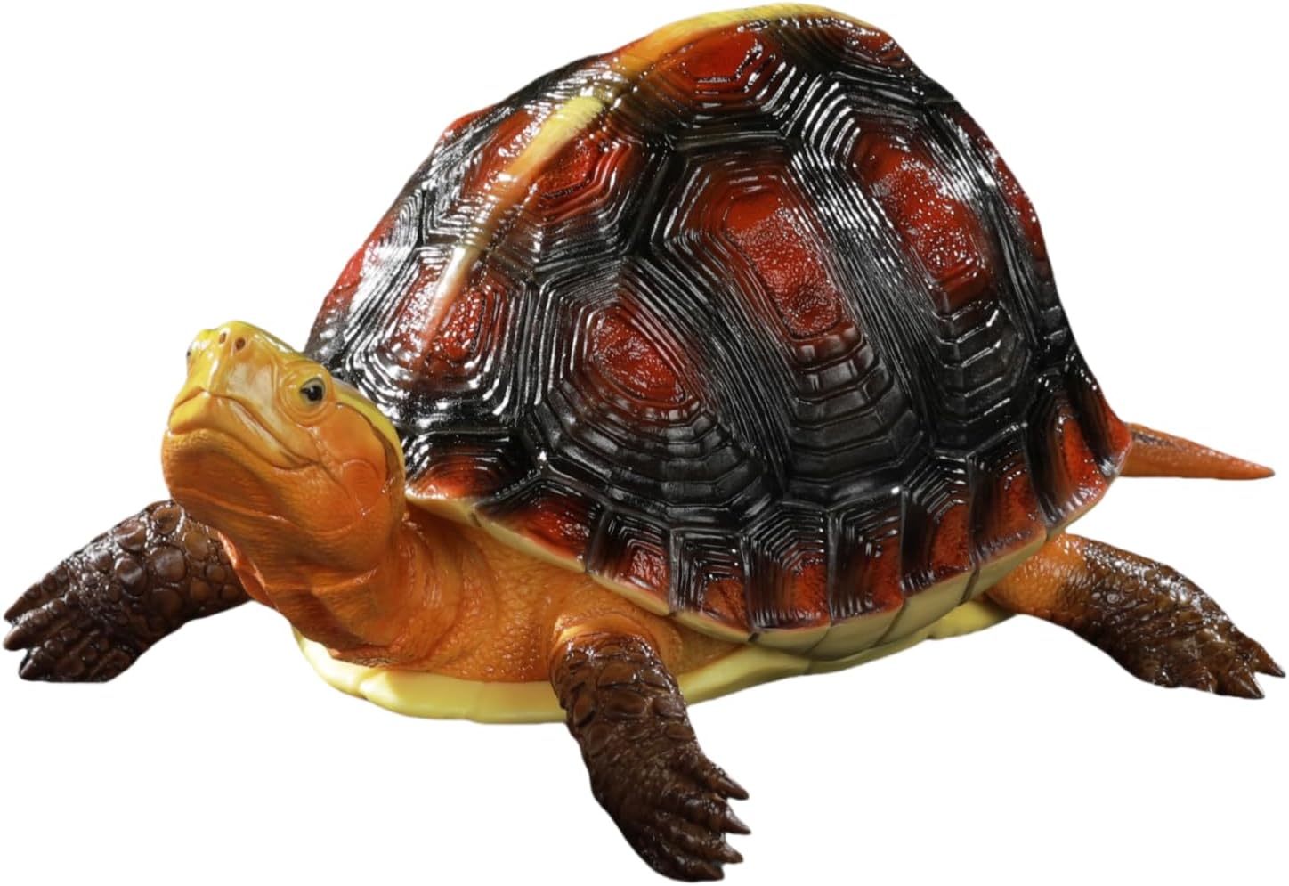 博物志 セマルハコガメ イシガメ科 ハコガメ属 17CM級 樹脂 フィギュア