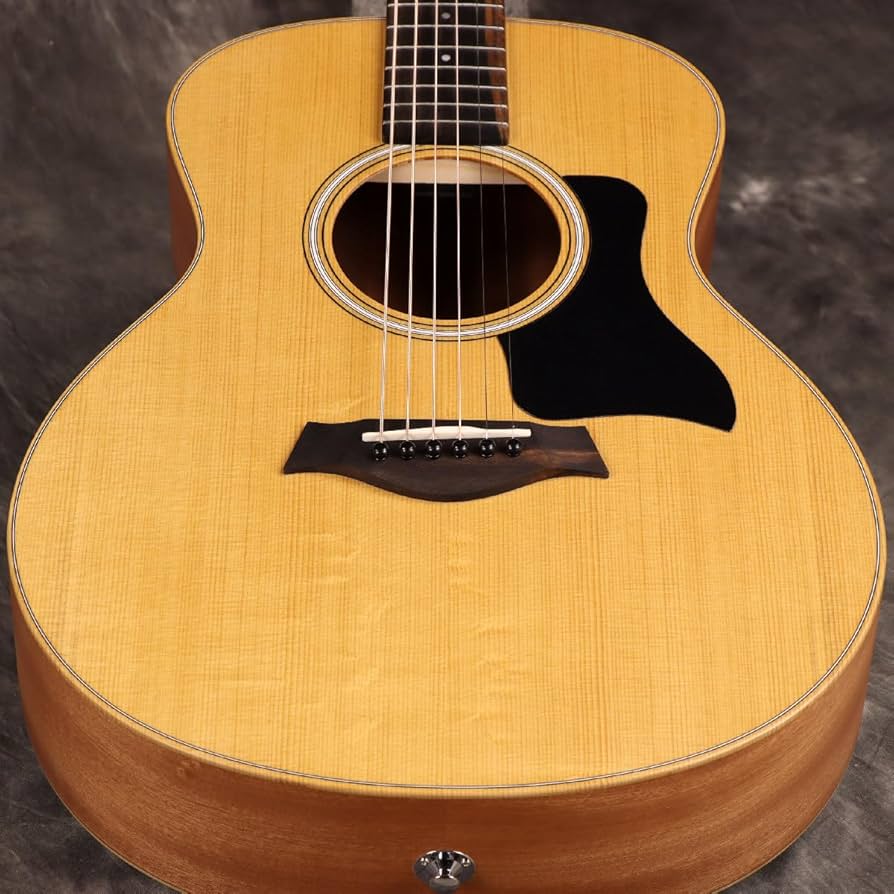 Amazon | Taylor Sapele GS Mini | スチール弦アコースティックギター