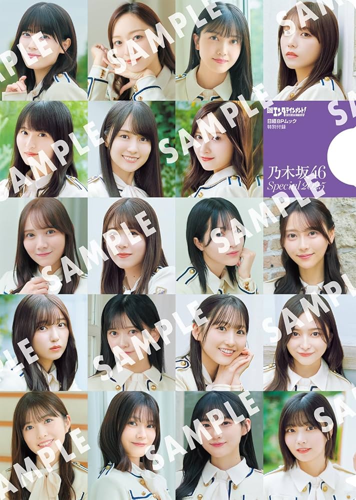 乃木坂46 生写真・クリアファイル、ポスター・写真集・雑誌 引退品